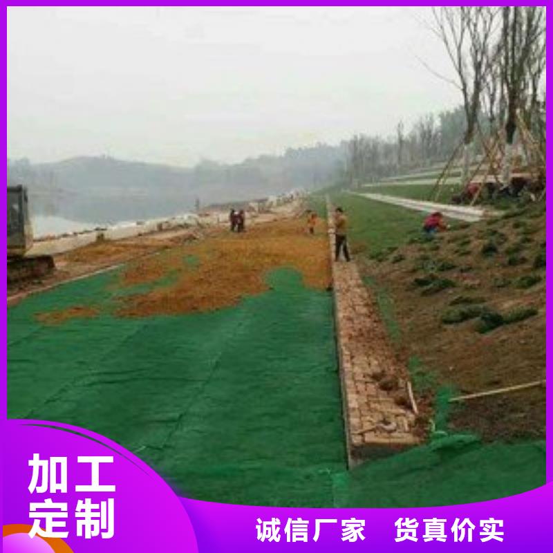 三维植被网_【单向塑料土工格栅】质量无忧