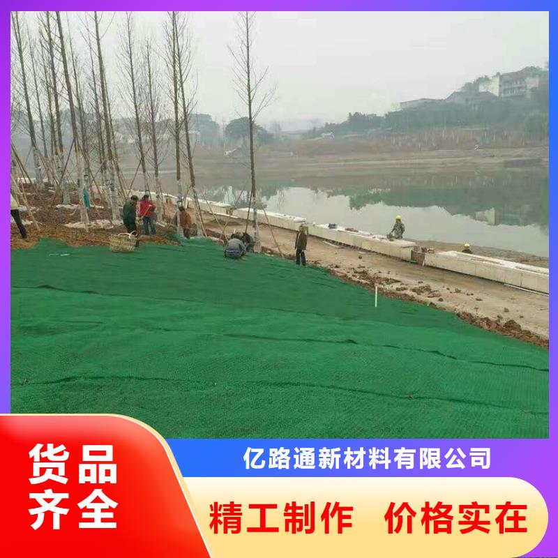 三维植被网双向塑料土工格栅高品质现货销售