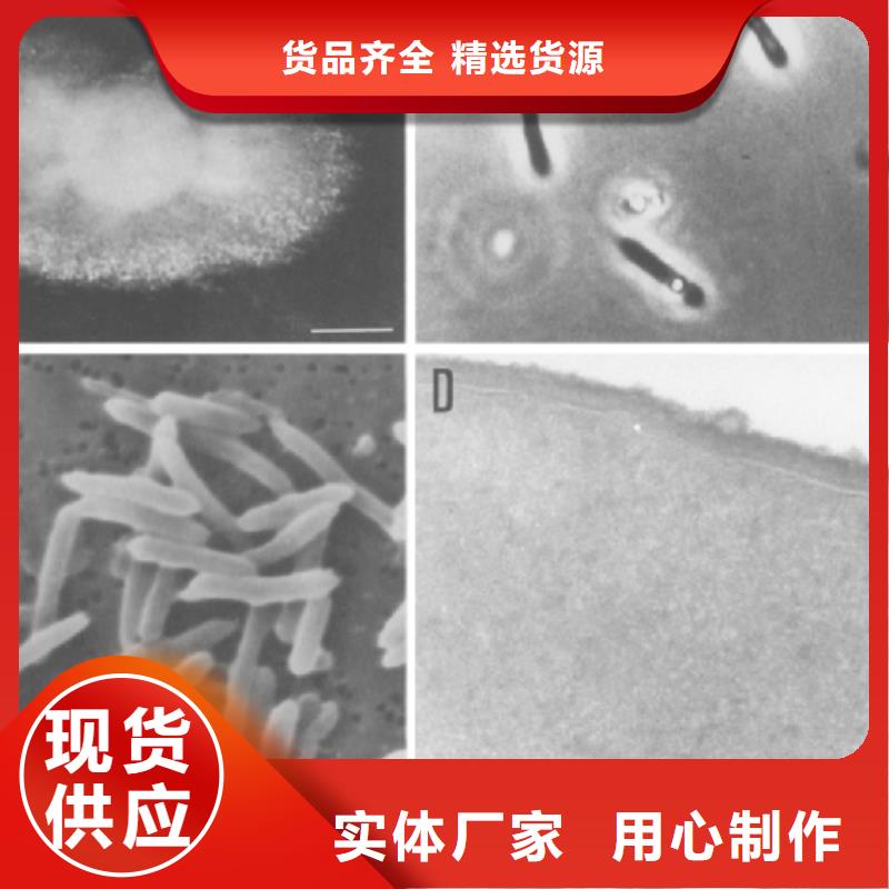 生物复合碳源实体厂家