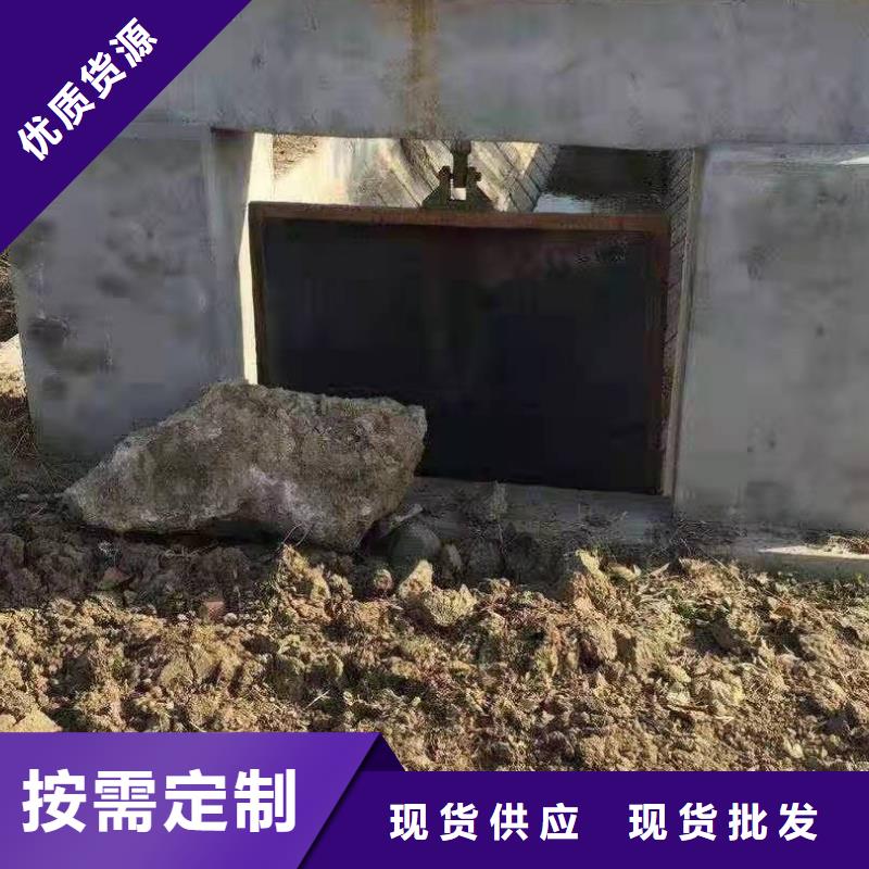 镶铜铸铁闸门支持定制