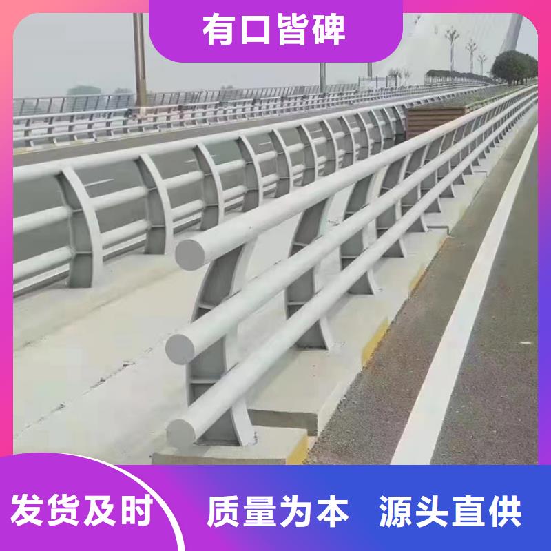 景观道路护栏实地考察