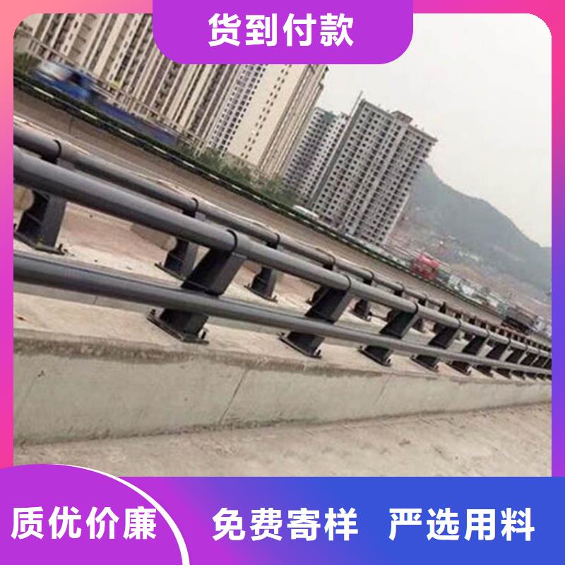 常年供应道路防撞护栏-价格优惠