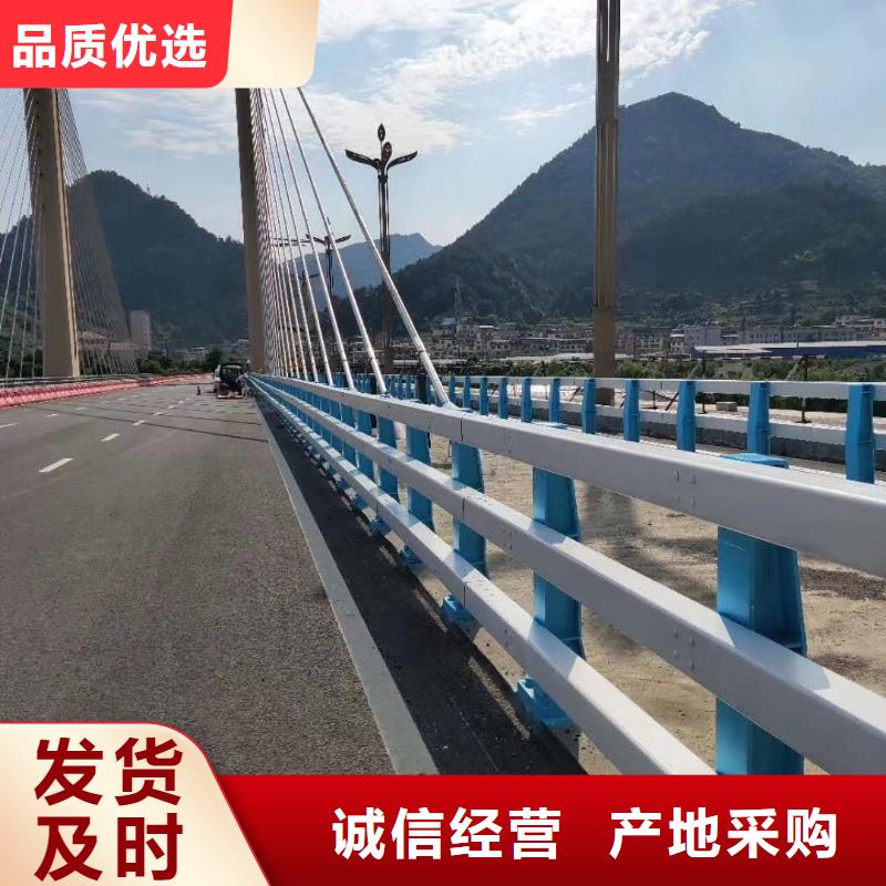 专业销售新型桥梁护栏-现货供应
