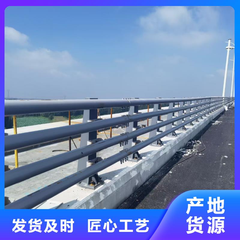 批发道路护栏找驰越金属制品有限公司