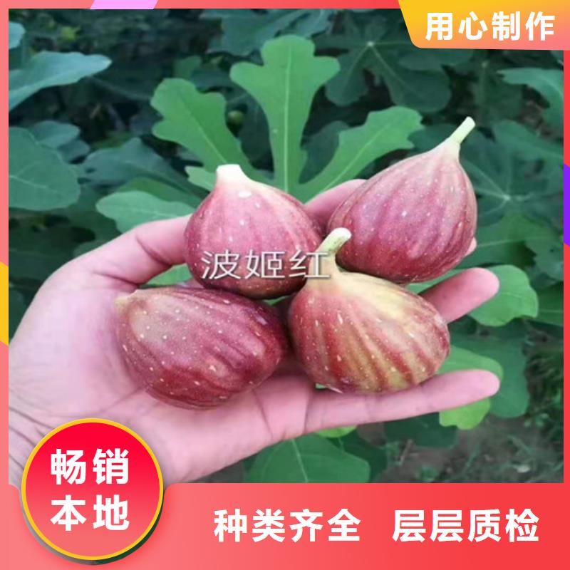 无花果油蟠7-7厂家质量过硬