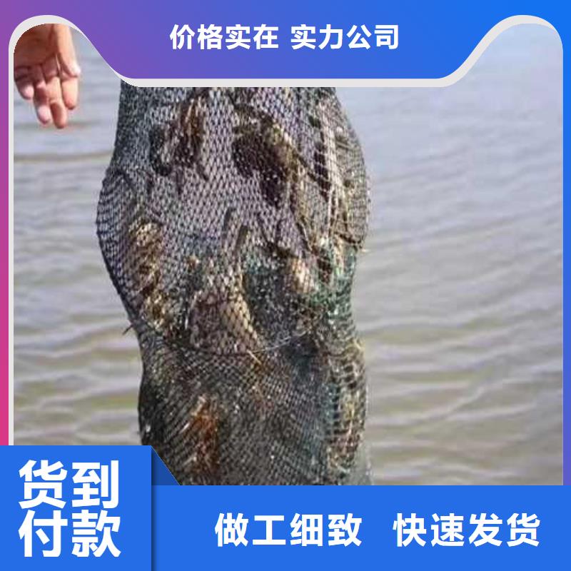 鲜活阳澄湖螃蟹价格