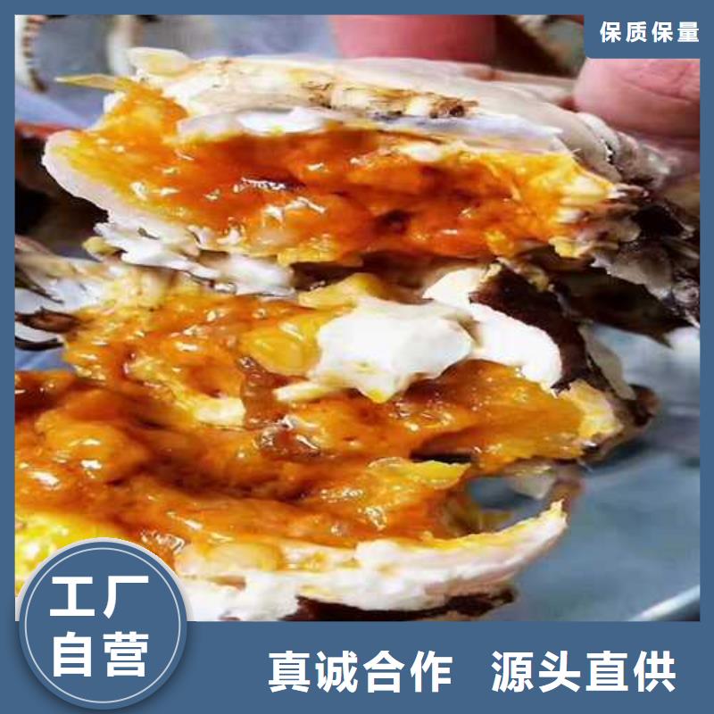 正宗阳澄湖大闸蟹专卖店