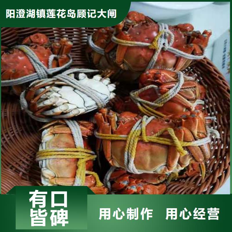 阳澄湖大闸蟹品种齐全