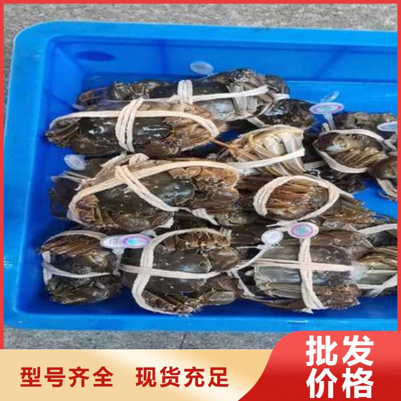 阳澄湖大闸蟹价格表