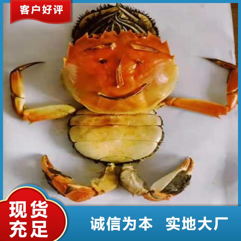 螃蟹物美价廉厂家