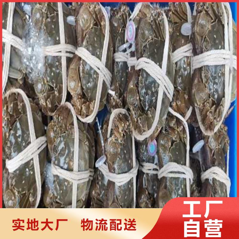 阳澄湖大闸蟹团购价格