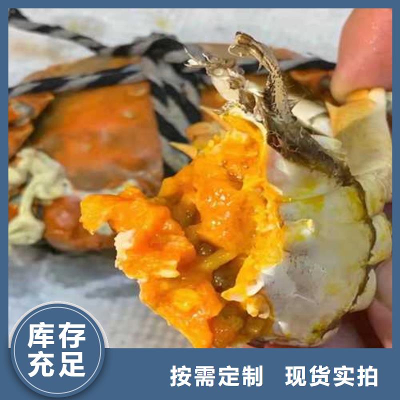 正宗阳澄湖大闸蟹团购