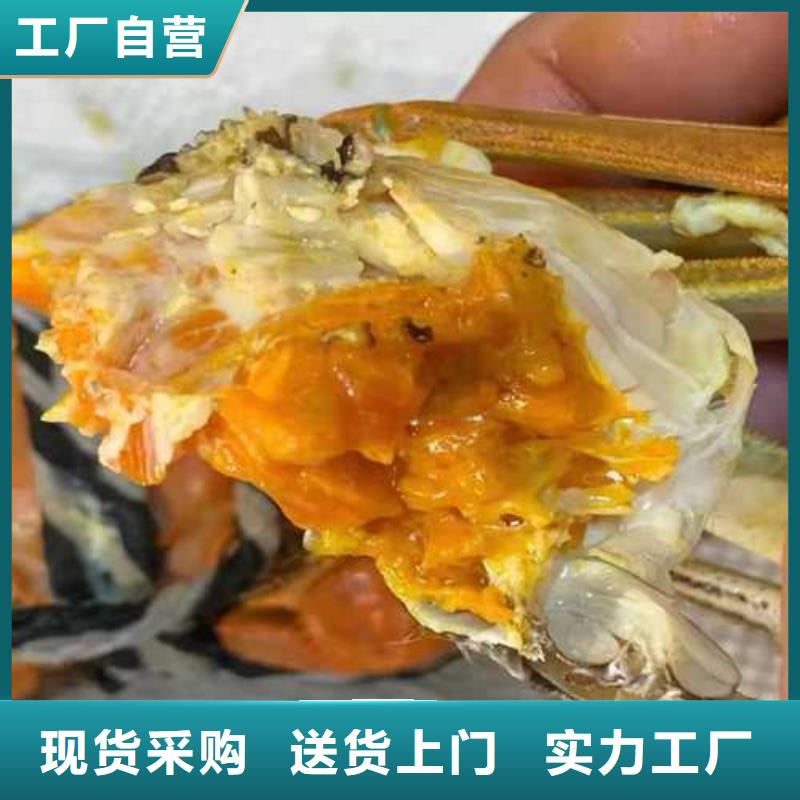 鲜活阳澄湖螃蟹市场价