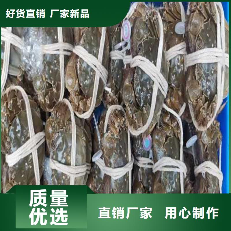 正品阳澄湖大闸蟹专卖点