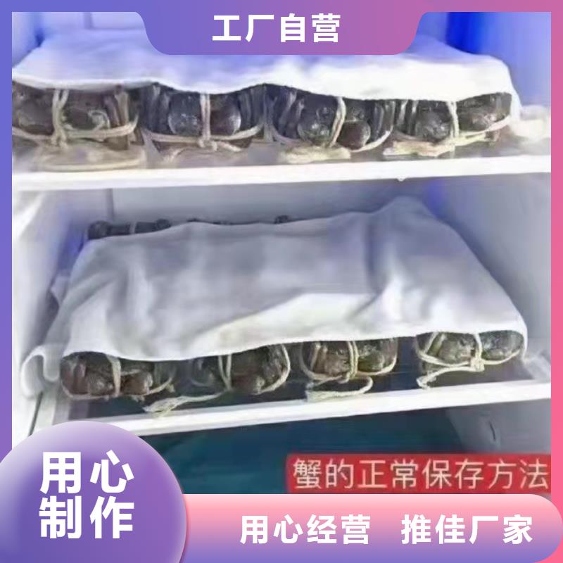 正品阳澄湖大闸蟹团购价格