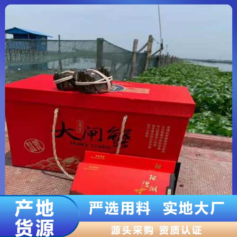 正宗阳澄湖大闸蟹礼盒批发