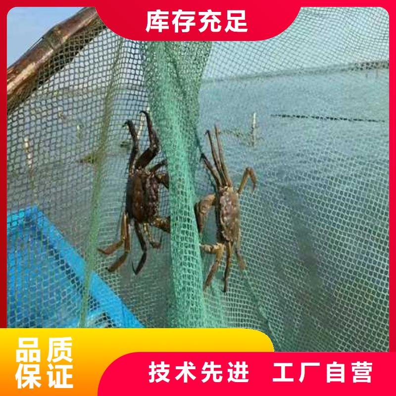 大闸蟹价格行情