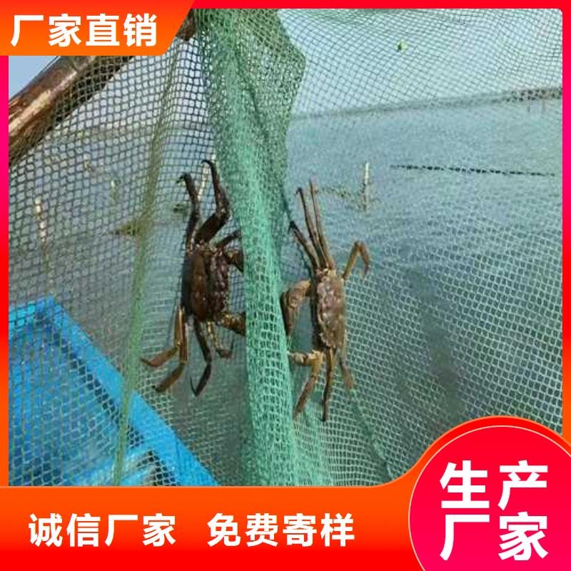 阳澄湖大闸蟹哪家正宗