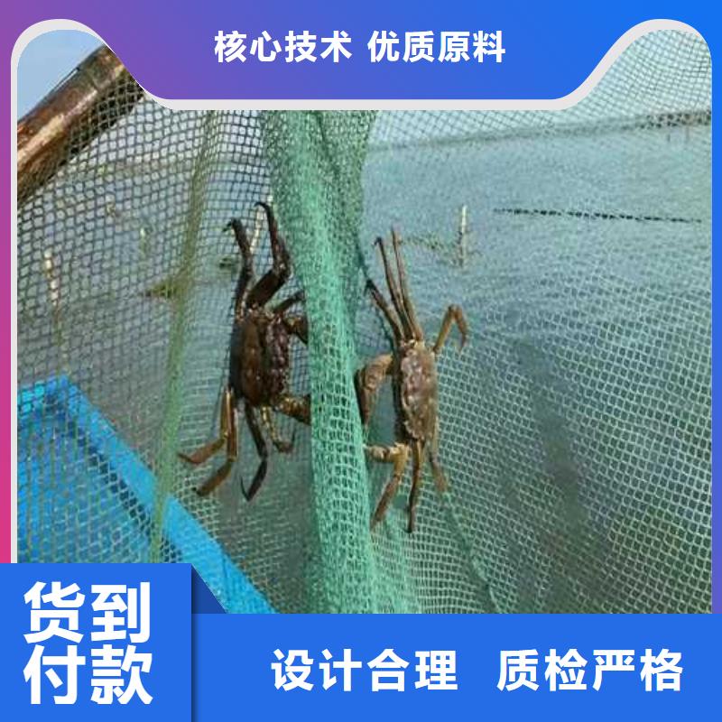 阳澄湖大闸蟹哪家好