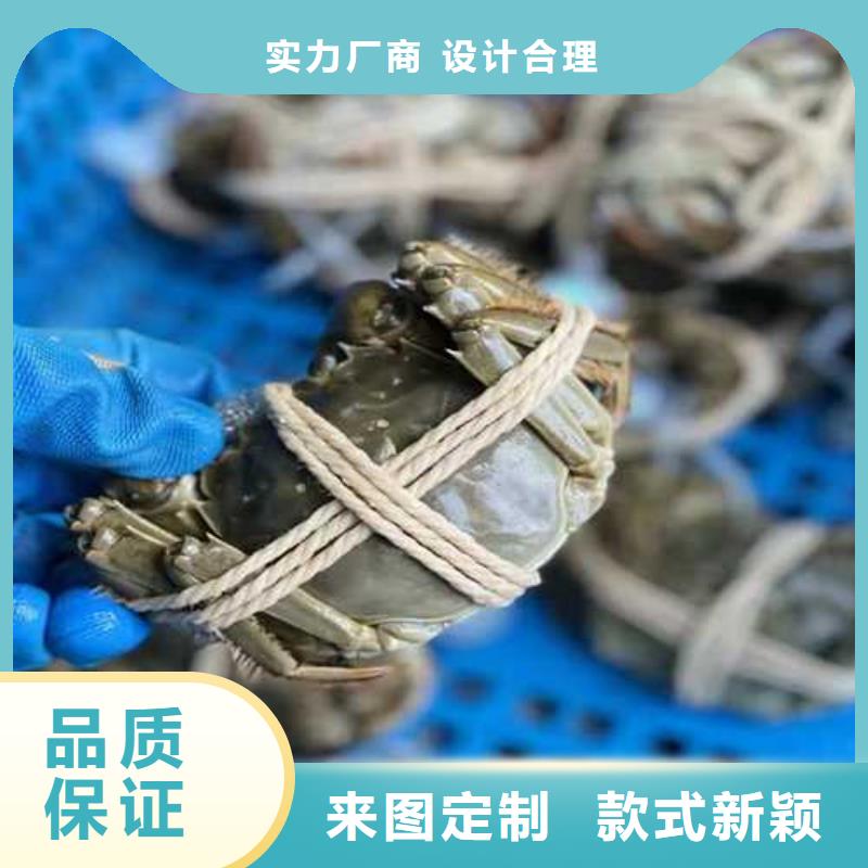 生产大闸蟹质量可靠的厂家