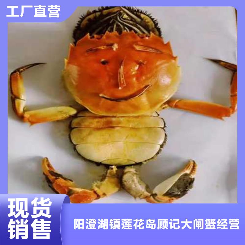 阳澄湖大闸蟹价格从优