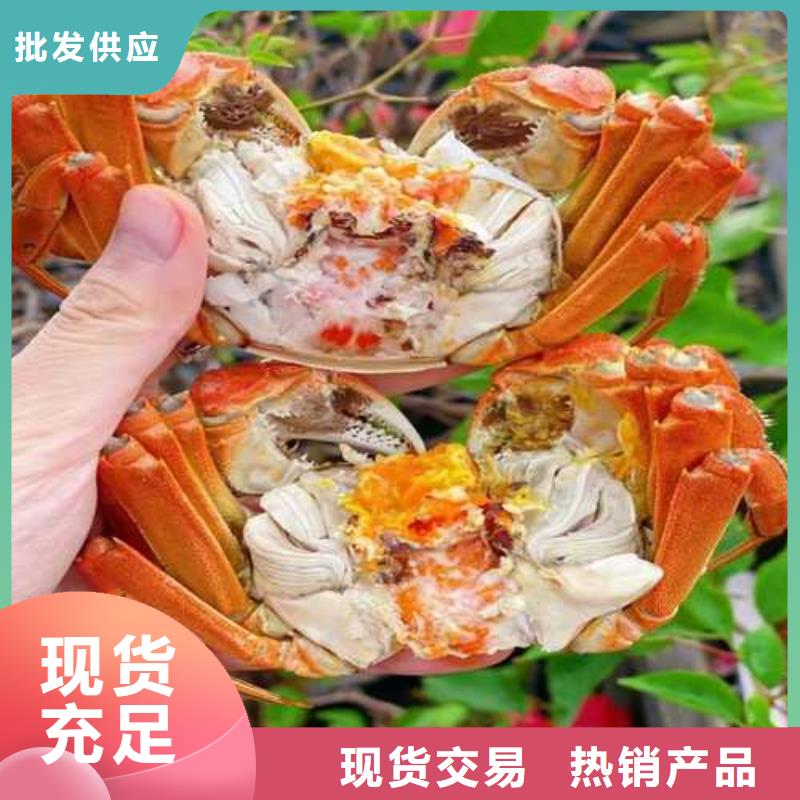 专业销售螃蟹质量有保证