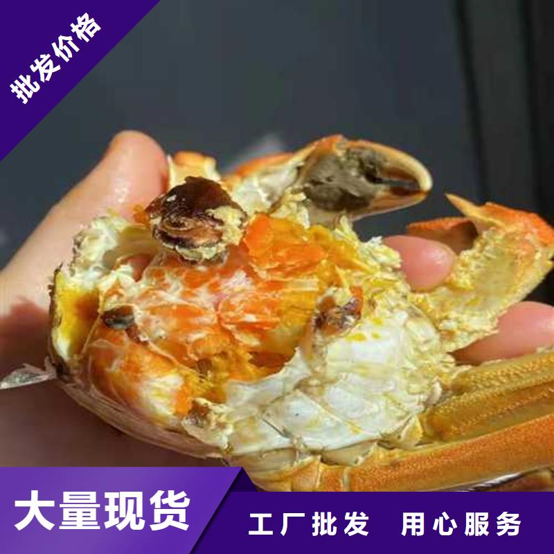 鲜活螃蟹订购