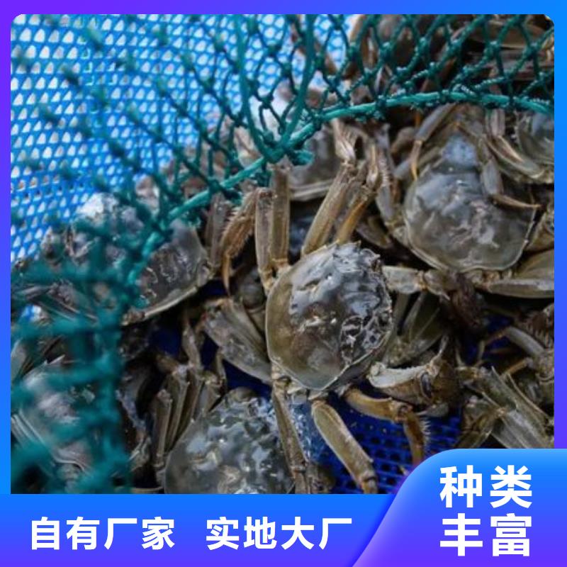 螃蟹-我们只做高品质