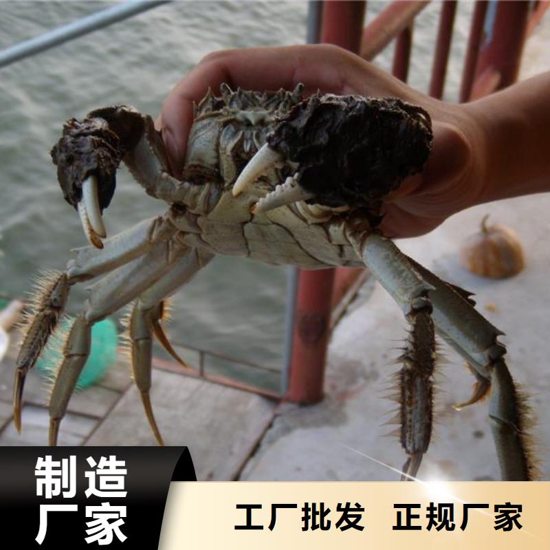 鲜活阳澄湖螃蟹礼盒包装图片