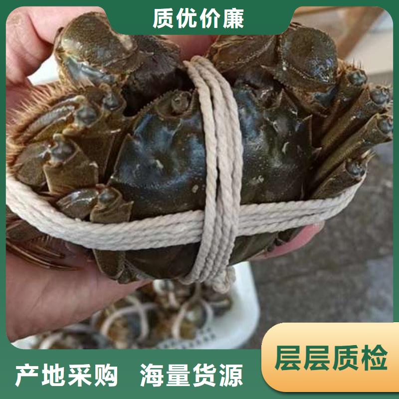 阳澄湖大闸蟹租赁