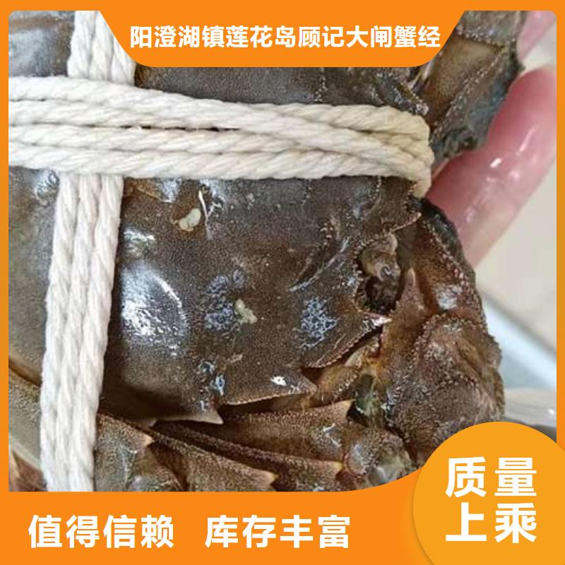 生产阳澄湖大闸蟹的经销商