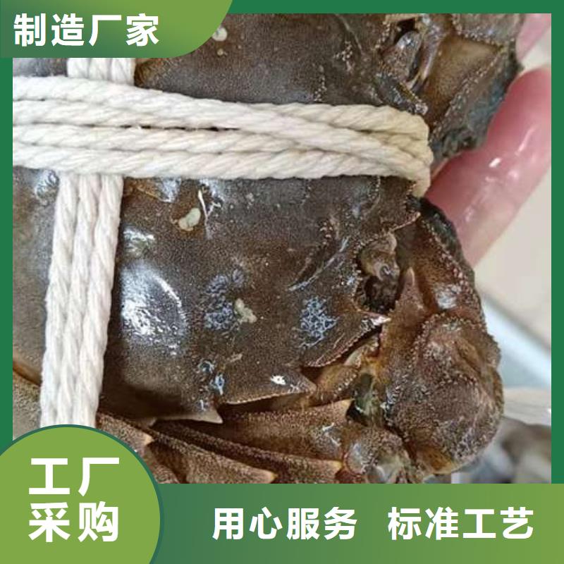 阳澄湖大闸蟹款式齐全