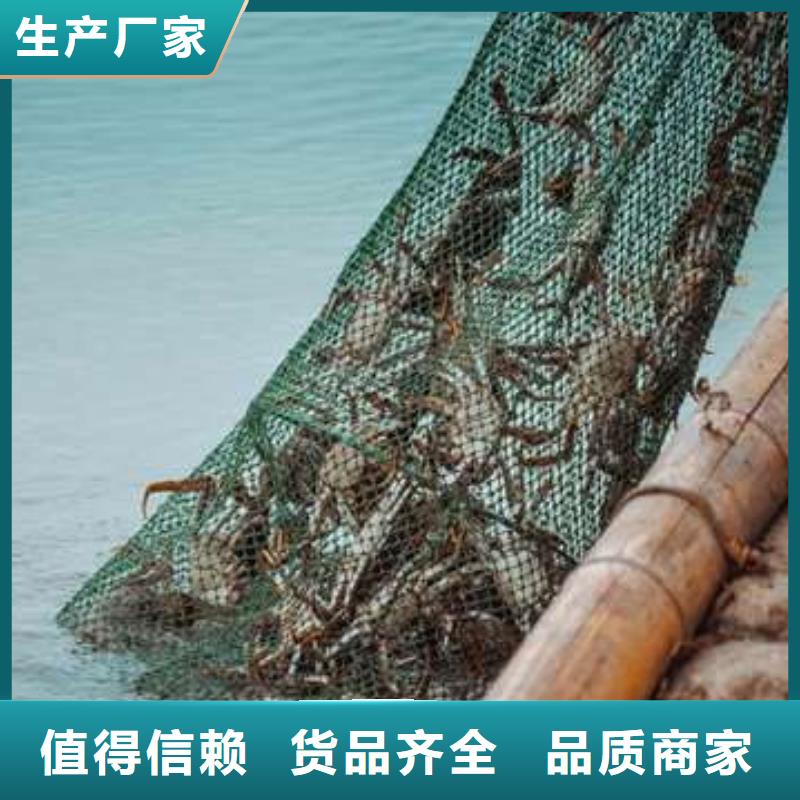 珠海阳澄湖大闸蟹团购价格