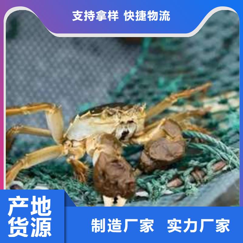 阳澄湖大闸蟹价格合理