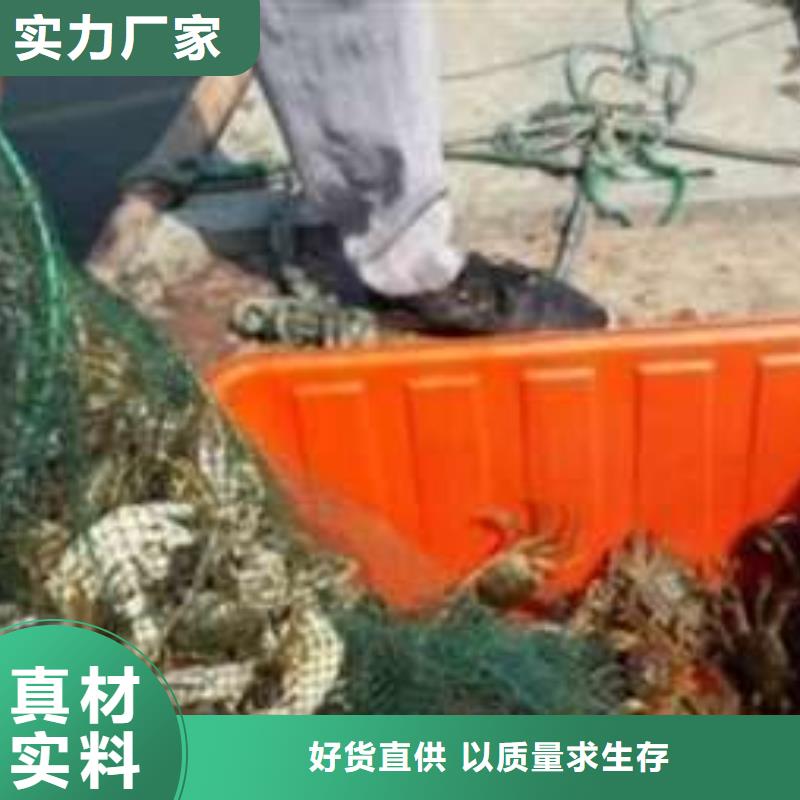 阳澄湖大闸蟹价格优势大