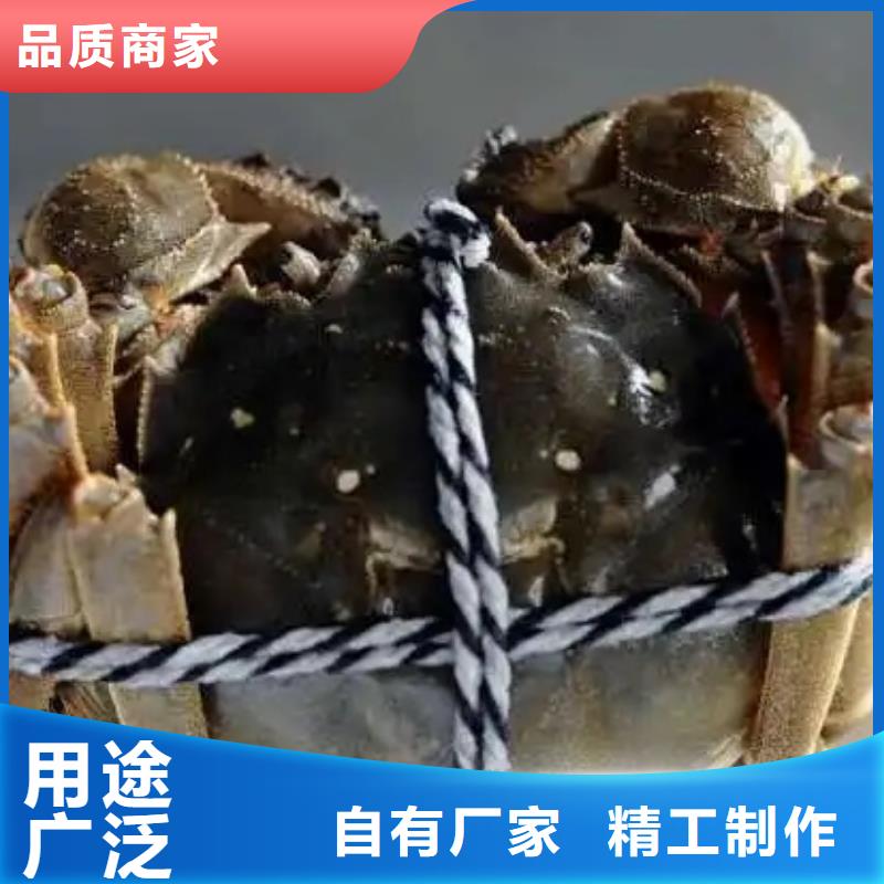 珠海市螃蟹价格