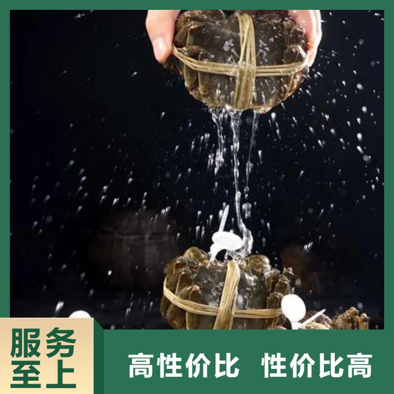 珠海市螃蟹价格