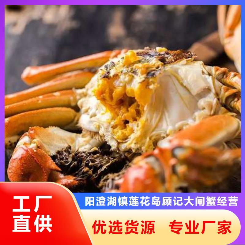 阳澄湖大闸蟹款式齐全