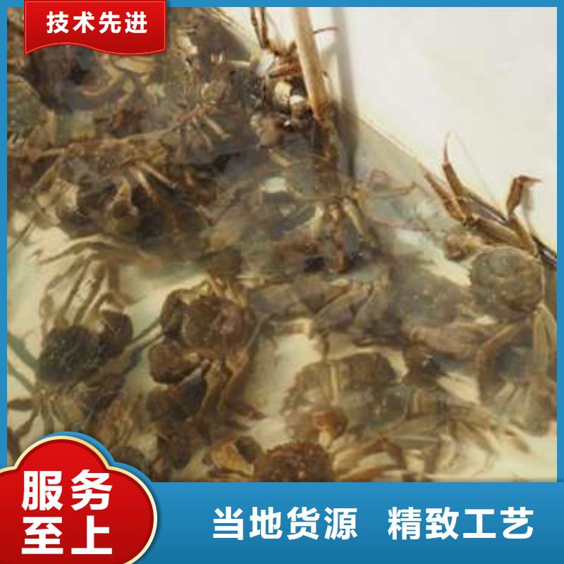 阳澄湖大闸蟹价格比较