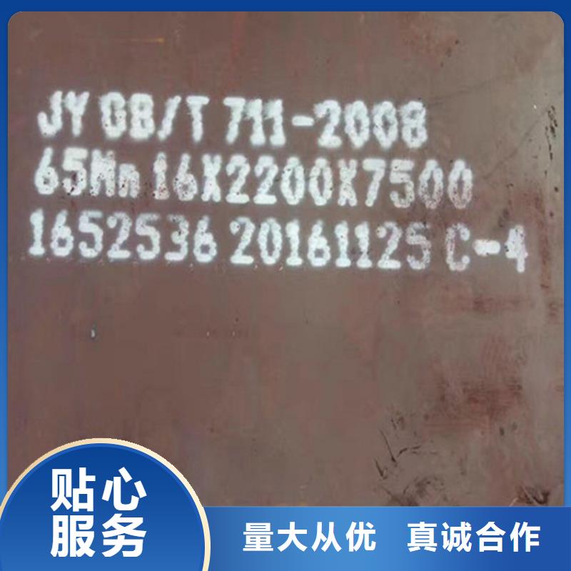 Q235C普板价格合理特价费