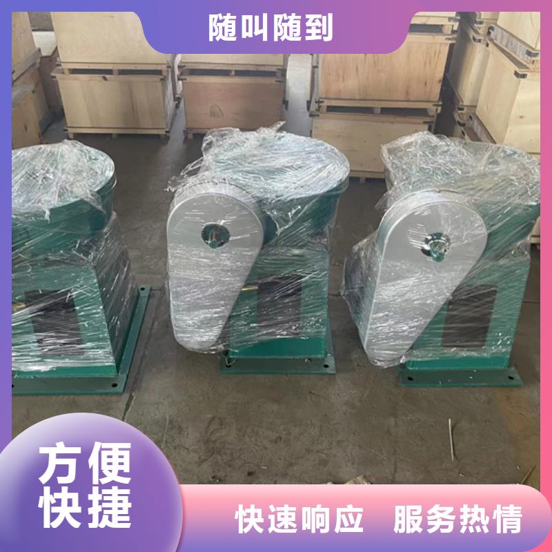 经验丰富的5吨手电两用启闭机批发商