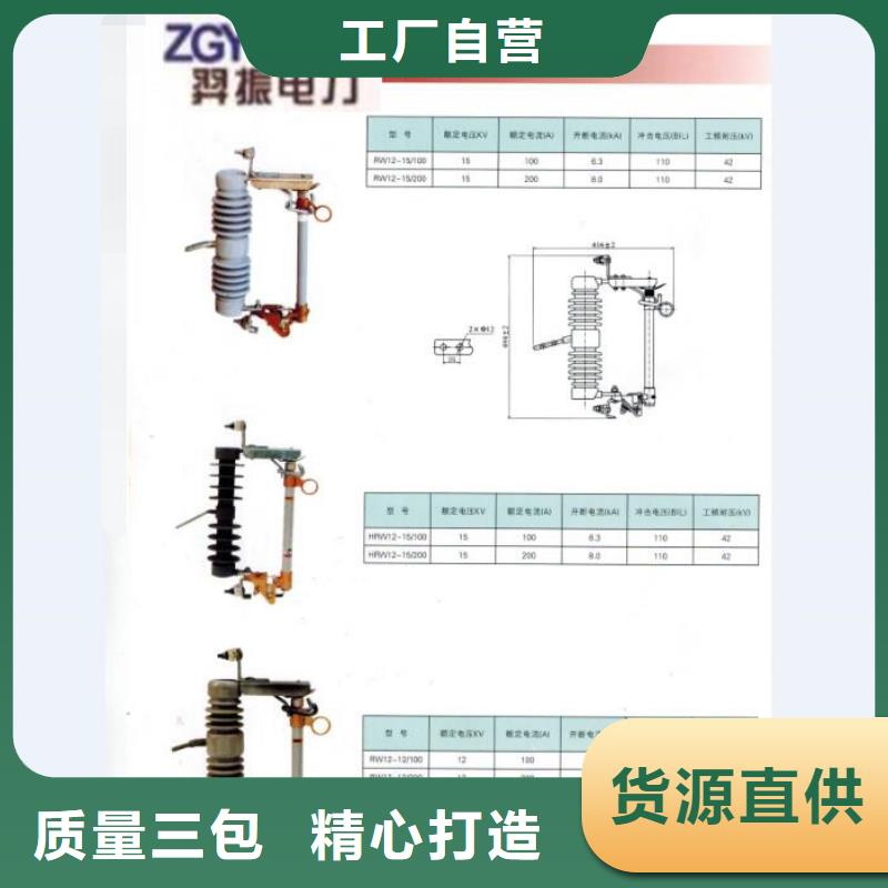 高压熔断器RW12-10/200A