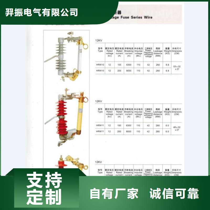 【跌落式熔断器】PRW12-12F/200A