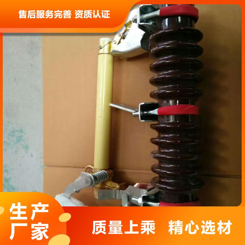 高压熔断器/HRW11-10KV/200