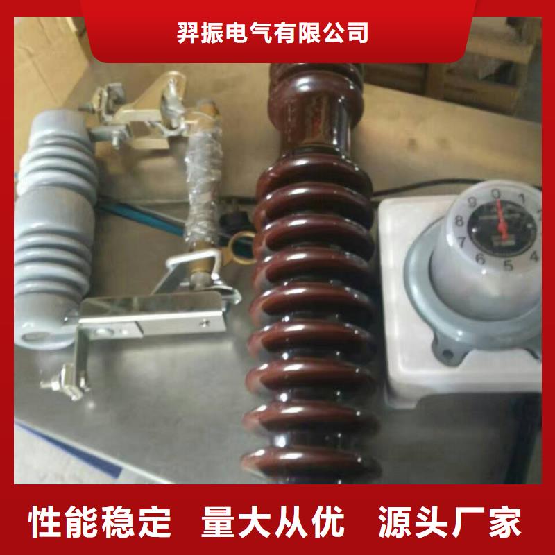 高压熔断器/HRW11-12KV/100A