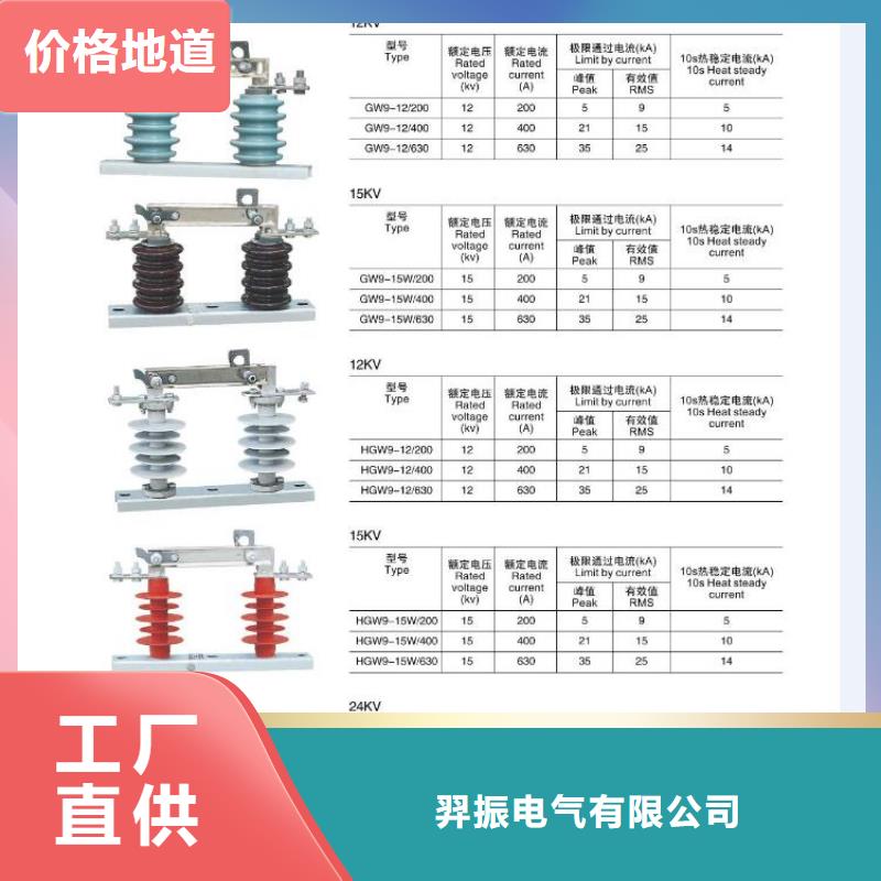 【高压隔离开关金属氧化物避雷器专业厂家】