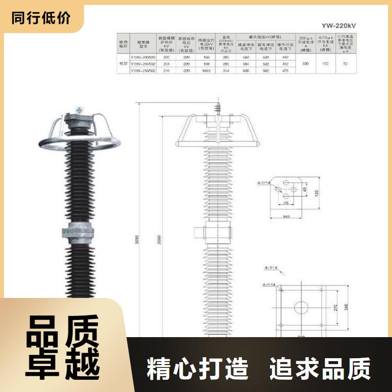 避雷器YH10WZ5-90/235L【羿振电气】