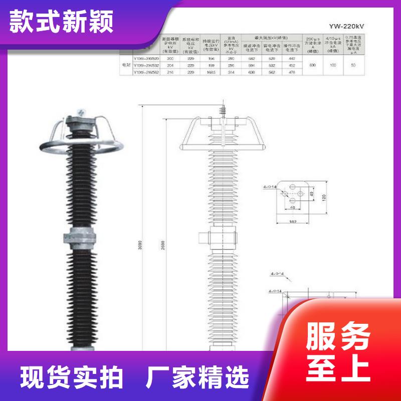 避雷器YH10W5-192/500【羿振电力】