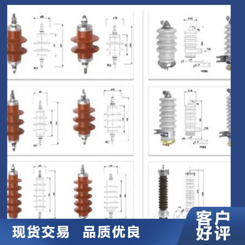 金属氧化物避雷器Y10W1-96/250(G)W