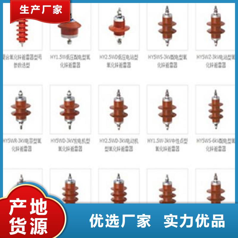 避雷器YH5WR-17/45L氧化锌避雷器金属氧化物避雷器厂家